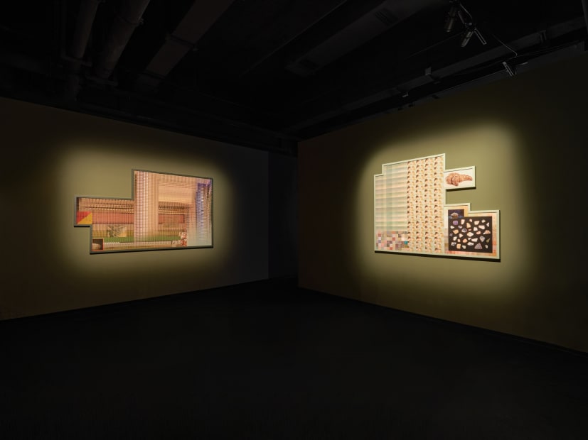 Installation image of Liu Shiyuan: CRISPR Whisper at Fotografiska, Shanghai.
