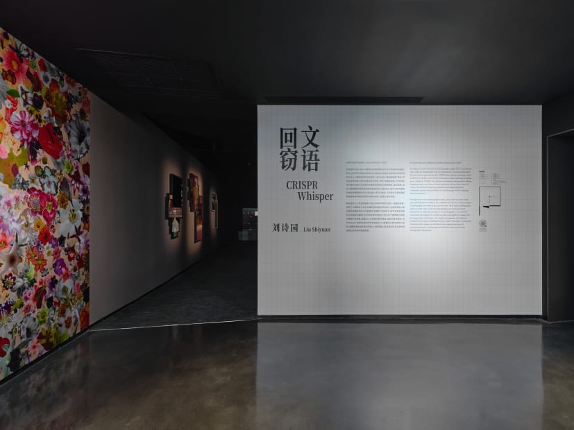 Installation image of Liu Shiyuan: CRISPR Whisper at Fotografiska, Shanghai.