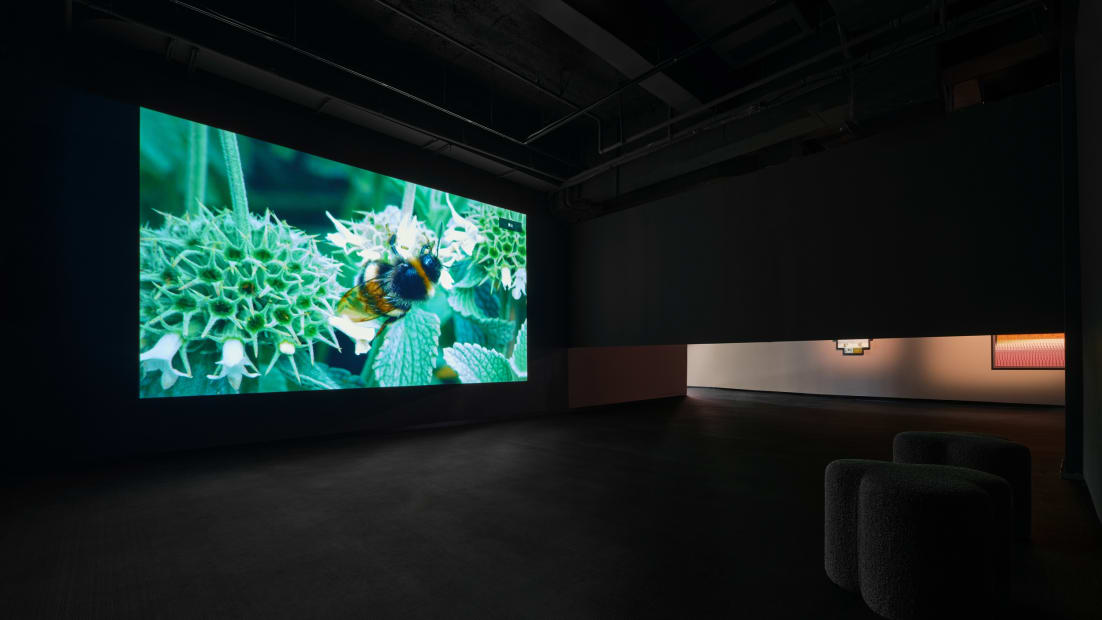 Installation image of Liu Shiyuan: CRISPR Whisper at Fotografiska, Shanghai.