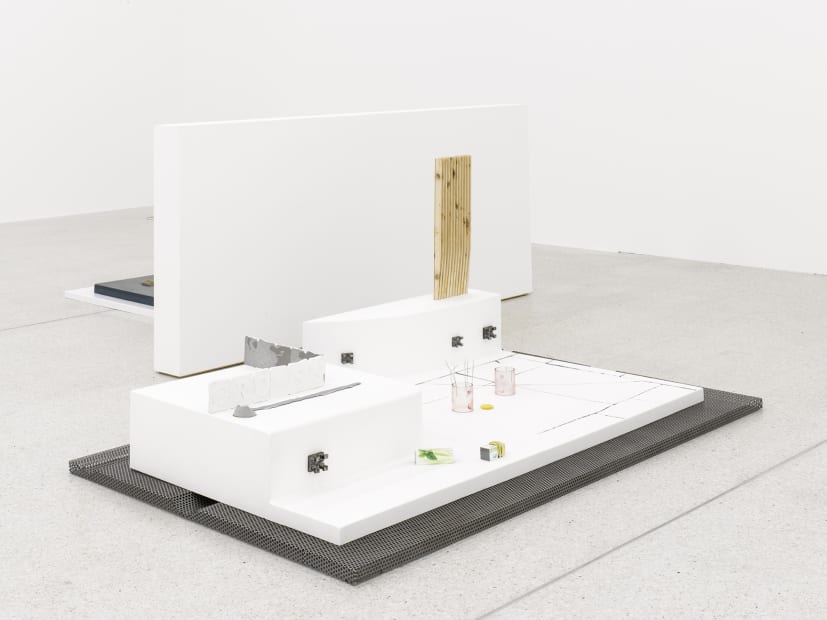 Installation view at Westfälischer Kunstverein, Münster.