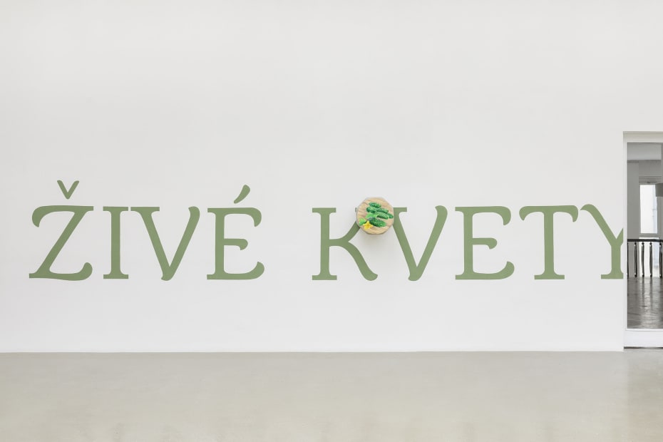 Installation view at Kunsthalle Bratislava, Bratislava, Slovakia.