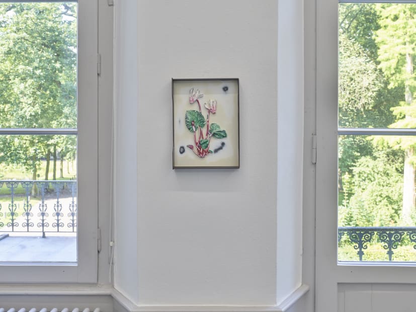 Installation view of Magali Reus: Our Volumes.