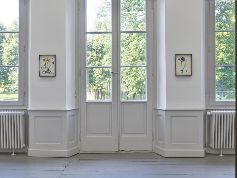 Installation view of Magali Reus: Our Volumes.