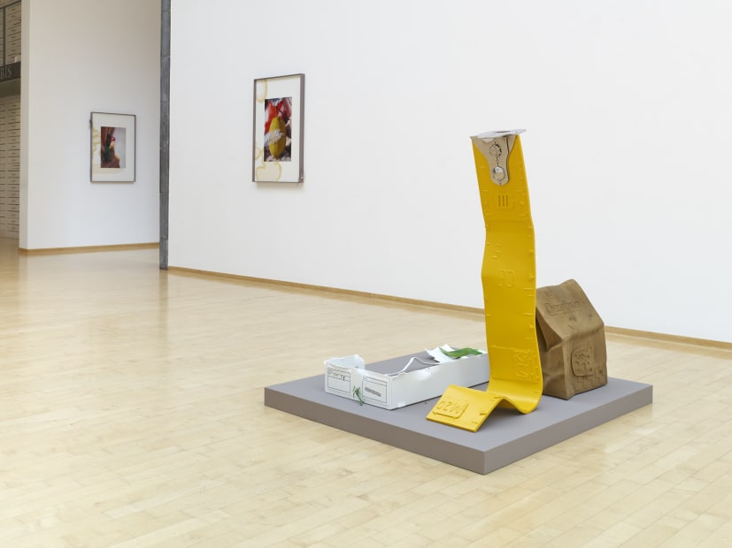 Installation view of Magali Reus: Our Volumes.