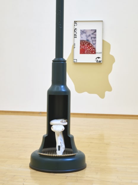Installation view of Magali Reus: Our Volumes.