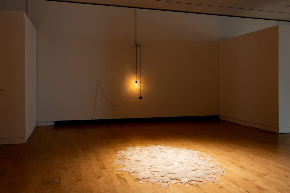 Installation view Shilpa Gupta: I did not tell you what I saw, but only what I dreamt.