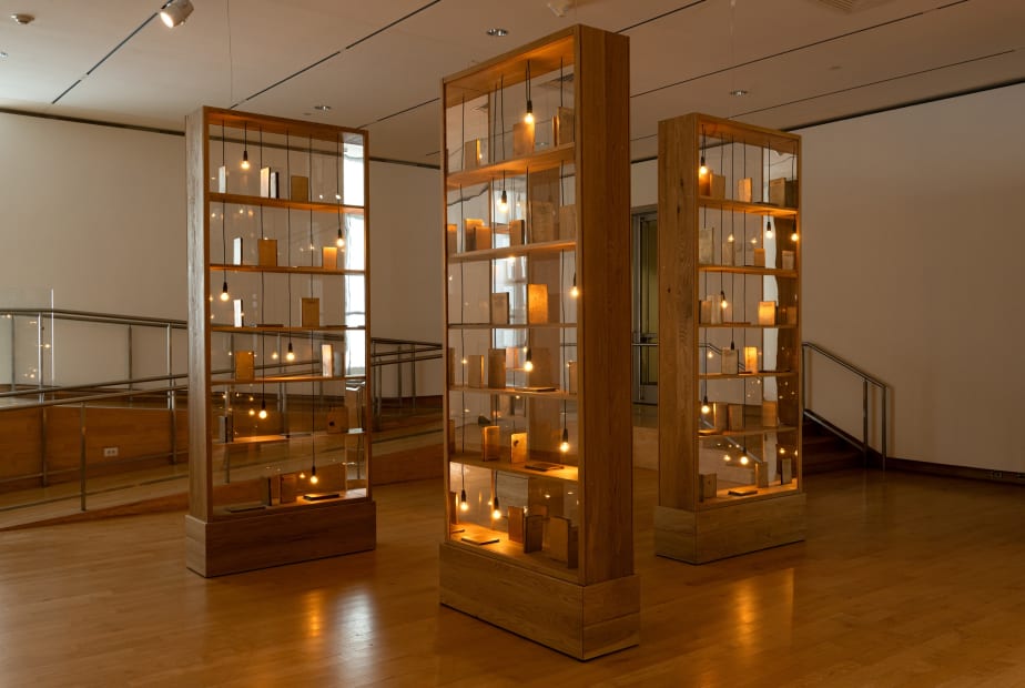 Installation view Shilpa Gupta: I did not tell you what I saw, but only what I dreamt.