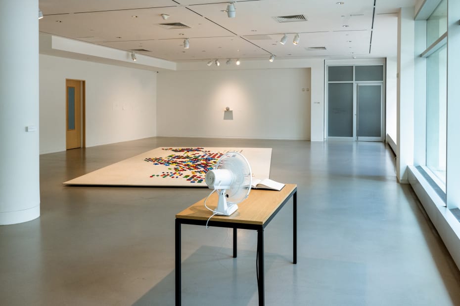 Installation view Shilpa Gupta: I did not tell you what I saw, but only what I dreamt.