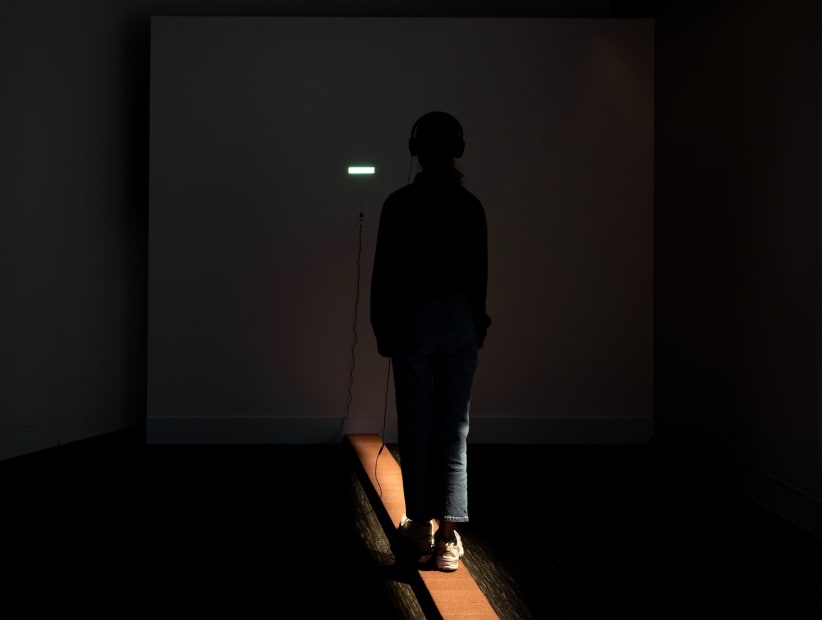 Installation view Shilpa Gupta: I did not tell you what I saw, but only what I dreamt.