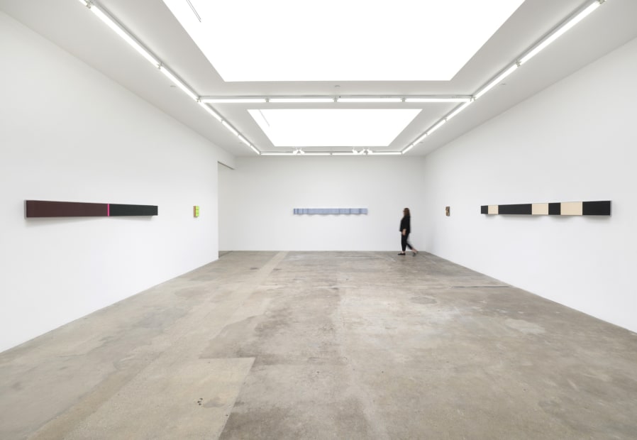 Lisa Williamson's installation view at TBG LA.