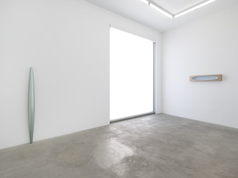 Lisa Williamson's installation view at TBG LA.