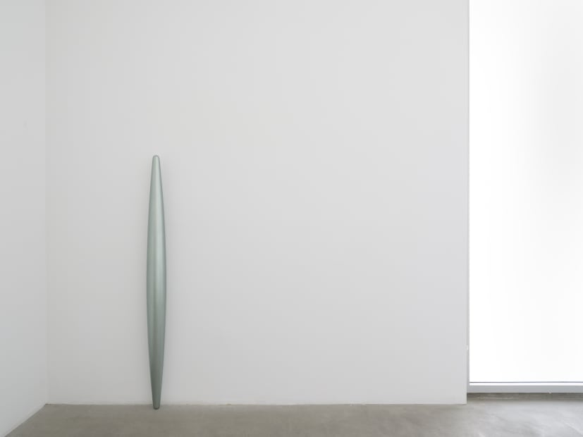 Lisa Williamson's installation view at TBG LA.