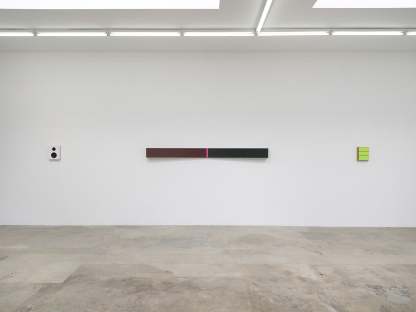 Lisa Williamson's installation view at TBG LA.