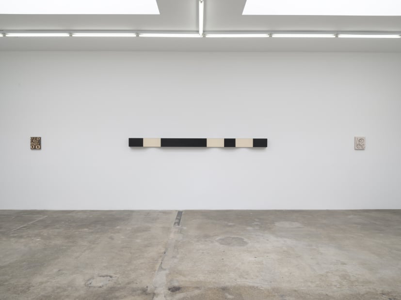 Lisa Williamson's installation view at TBG LA.