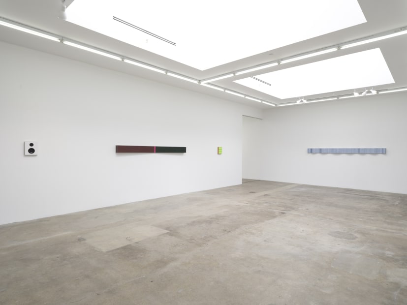 Lisa Williamson's installation view at TBG LA.