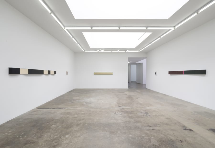 Lisa Williamson's installation view at TBG LA.