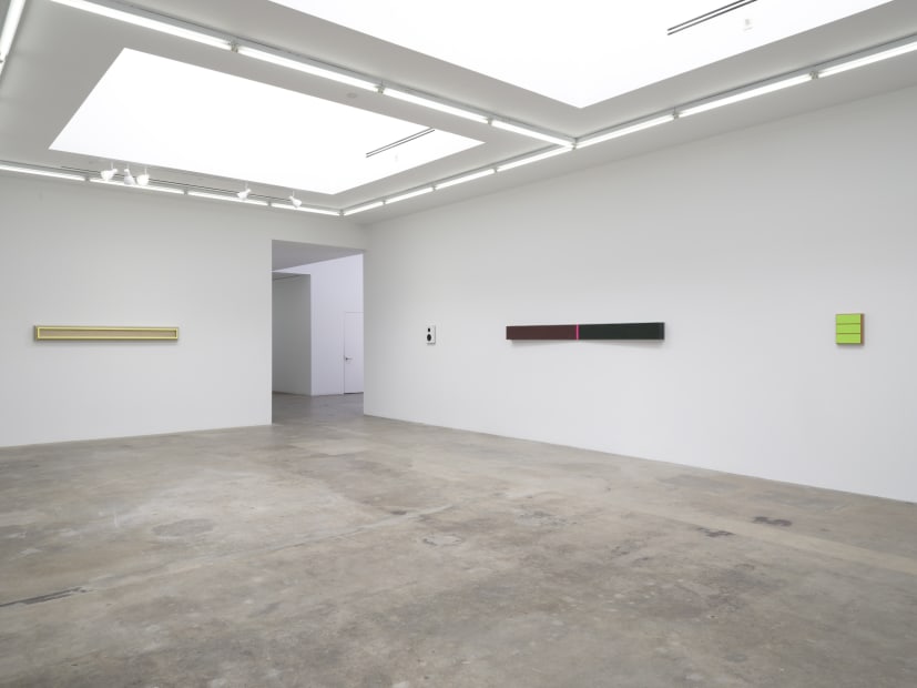 Lisa Williamson's installation view at TBG LA.