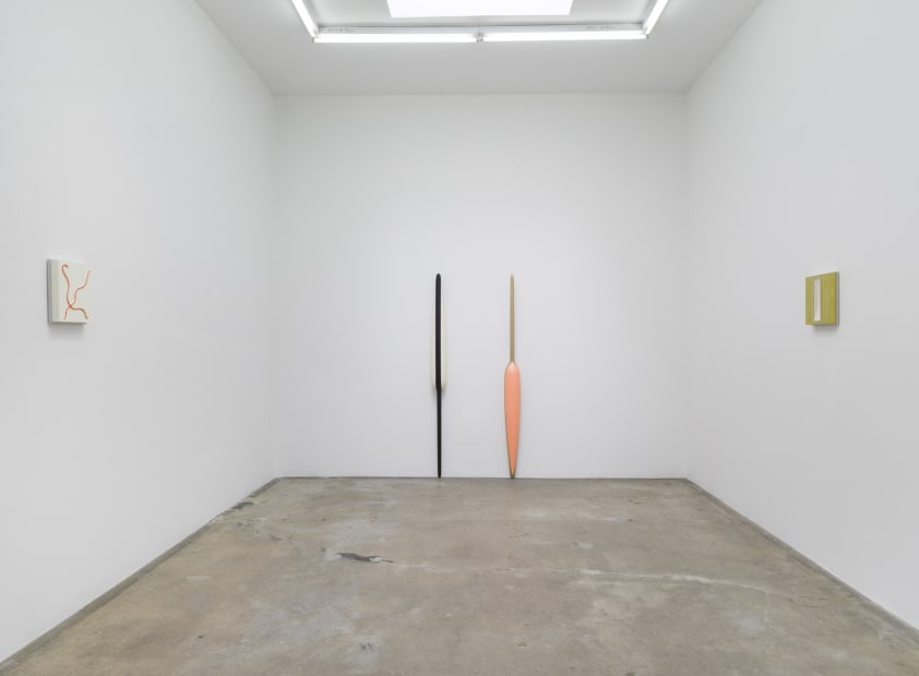 Lisa Williamson's installation view at TBG LA.
