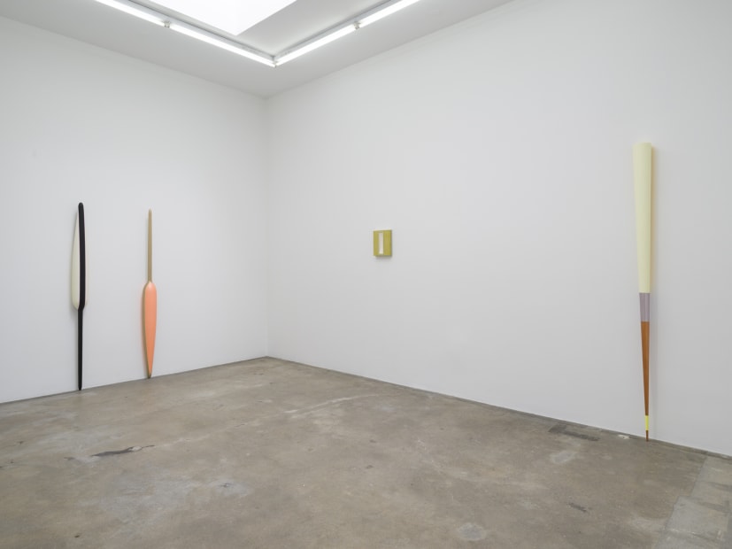 Lisa Williamson's installation view at TBG LA.