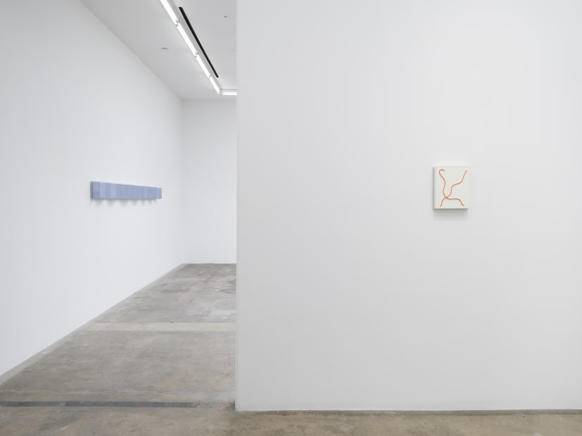 Lisa Williamson's installation view at TBG LA.