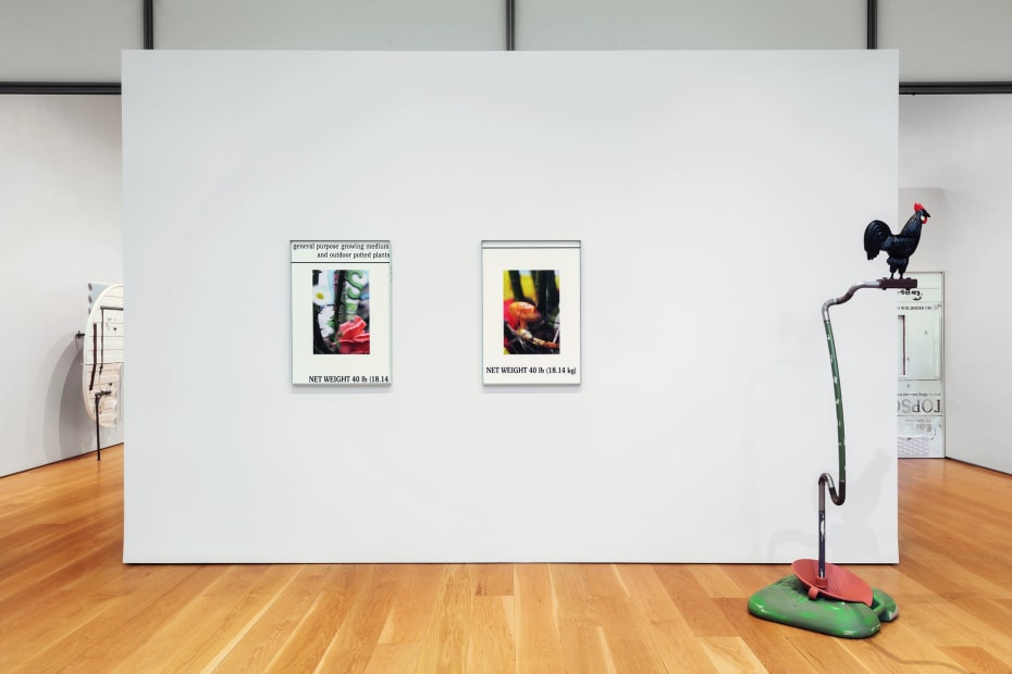 Installation images of Nasher Sculpture Center, Dallas.