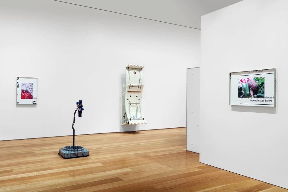 Installation images of Nasher Sculpture Center, Dallas.