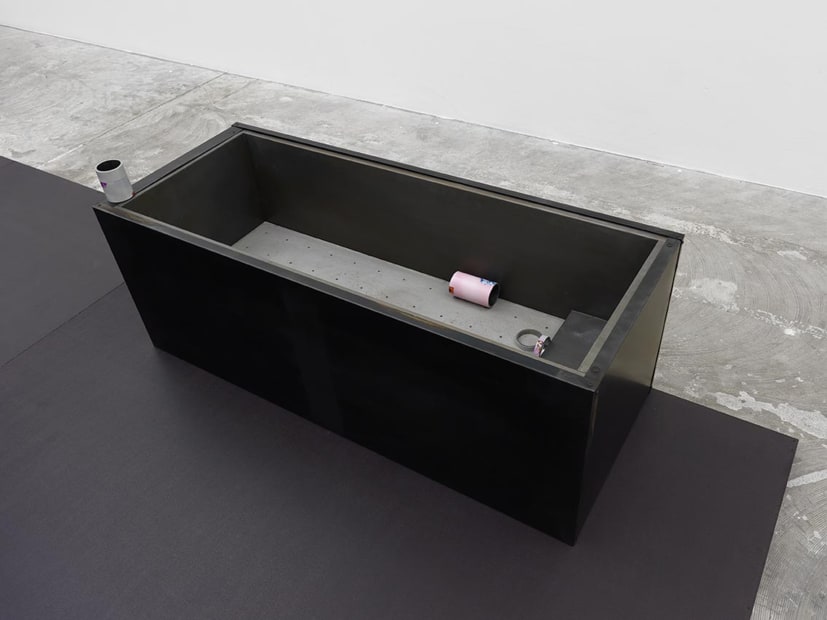 Installation view of Magali Reus: DINOSAURS.