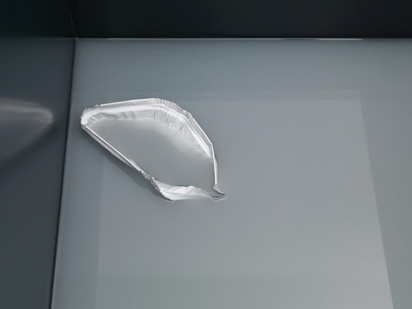 Installation view of Magali Reus: DINOSAURS.