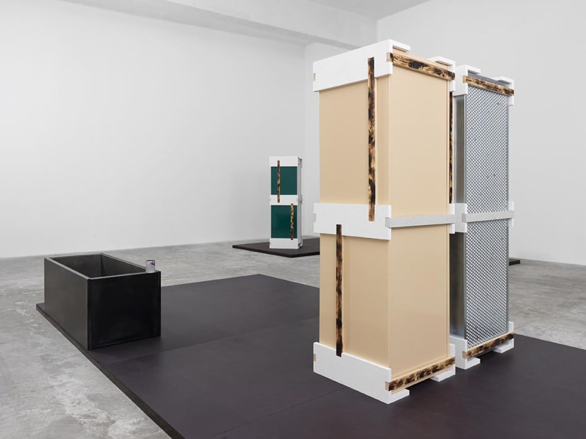 Installation view of Magali Reus: DINOSAURS.