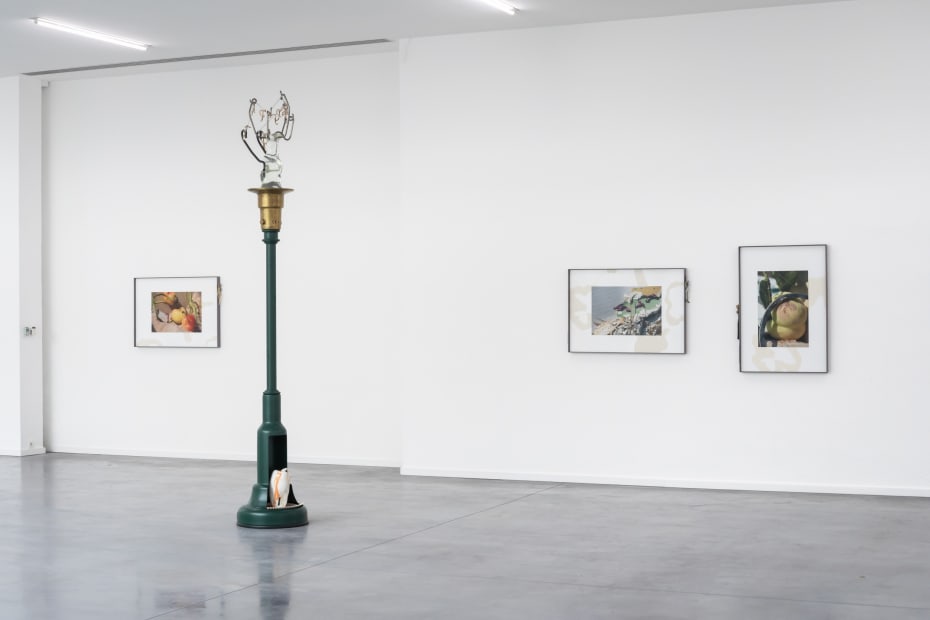 Installation view at Museum Dhondt-Dhaenens, Sint-Martens-Latem, Belgium.