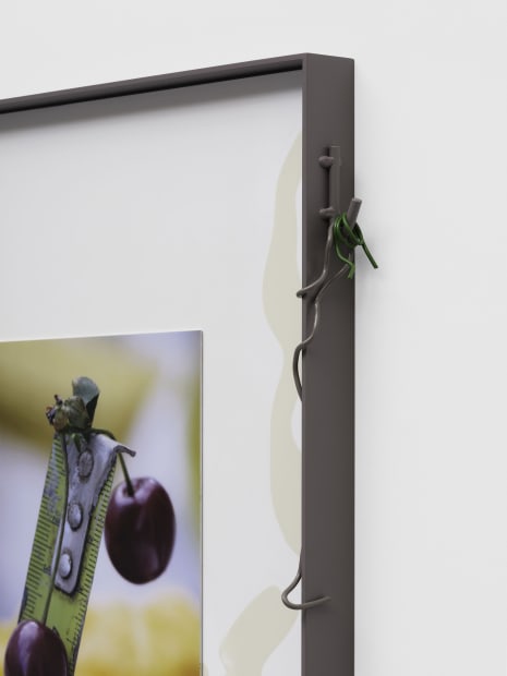 Installation view at Museum Dhondt-Dhaenens, Sint-Martens-Latem, Belgium.