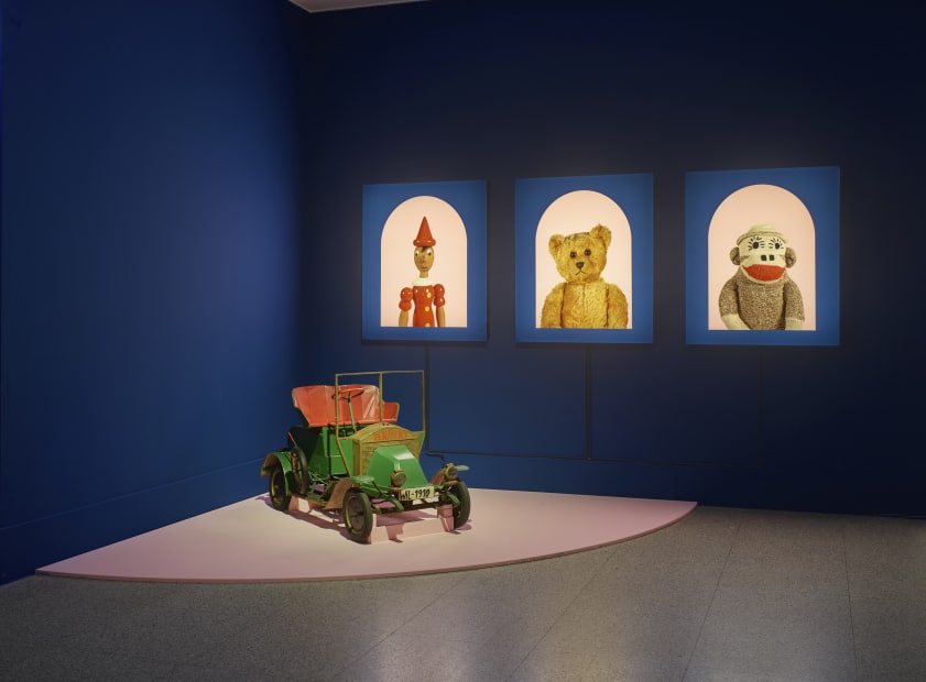 Installation images of Mark Dion: Delirious Toys.