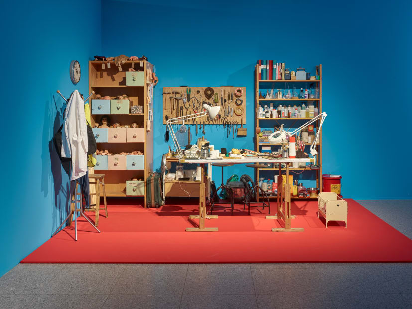 Installation images of Mark Dion: Delirious Toys.
