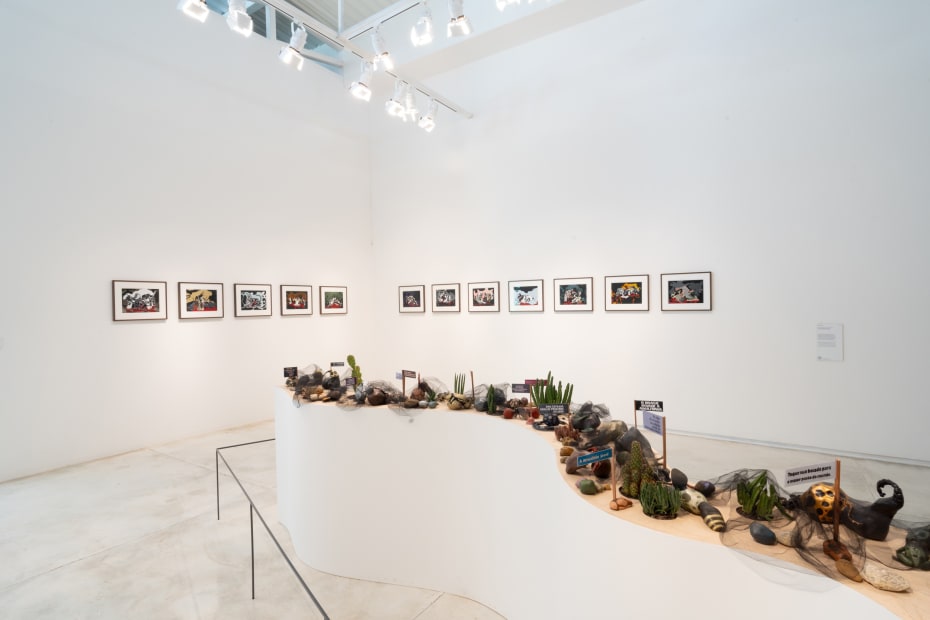 Installation view of Rivane Neuenschwander: Tangolomango.
