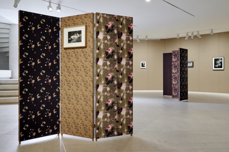 Installation image of Lisa Oppenheim, Monsieur Steichen, 2025.