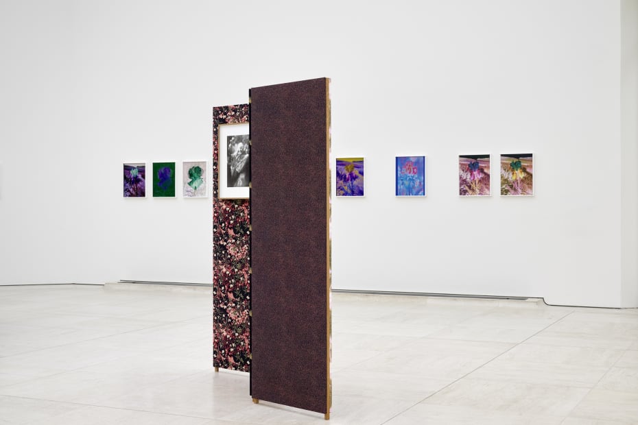 Installation image of Lisa Oppenheim, Monsieur Steichen, 2025.