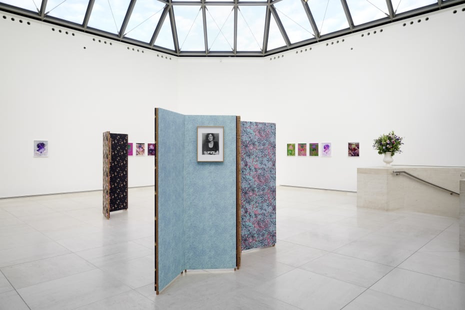 Installation image of Lisa Oppenheim, Monsieur Steichen, 2025.
