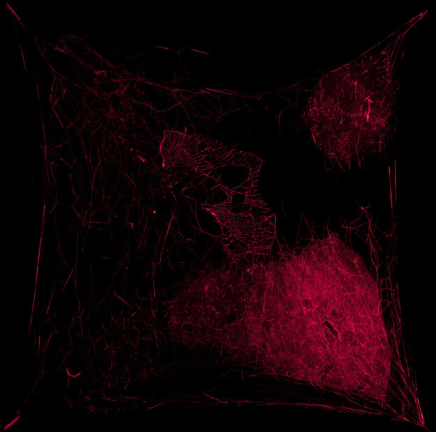 Saraceno laser spider web
