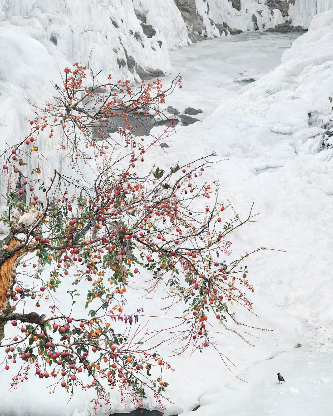 WON Seoung Won, The Experimental Trees of Pharmacists, 2017