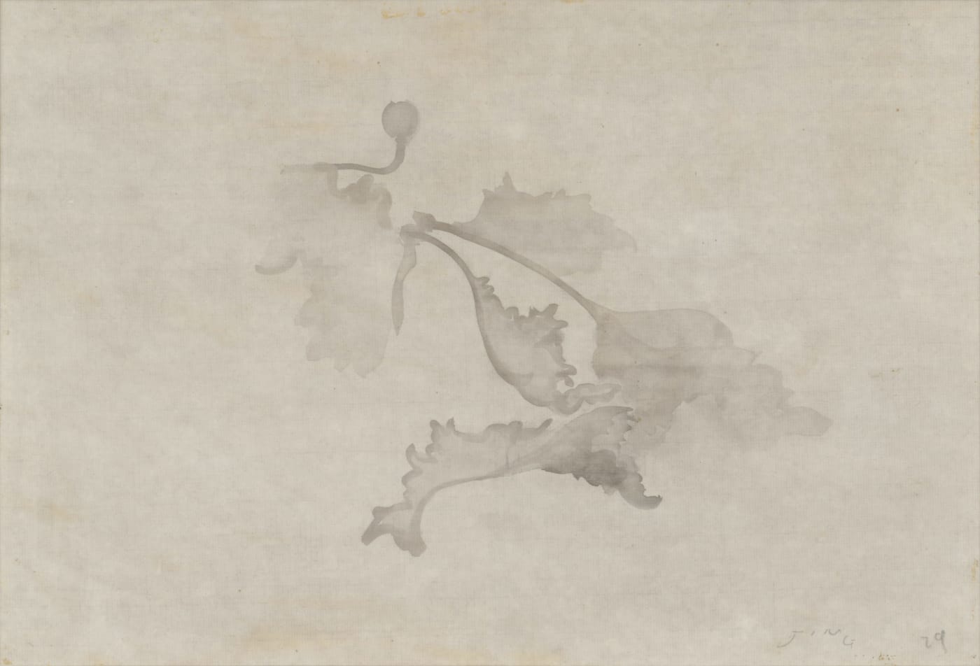 JING Shijian, Poppy 罂粟, 2019