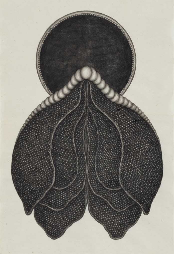 PARK Wunggyu, Dummy No.92, 2023