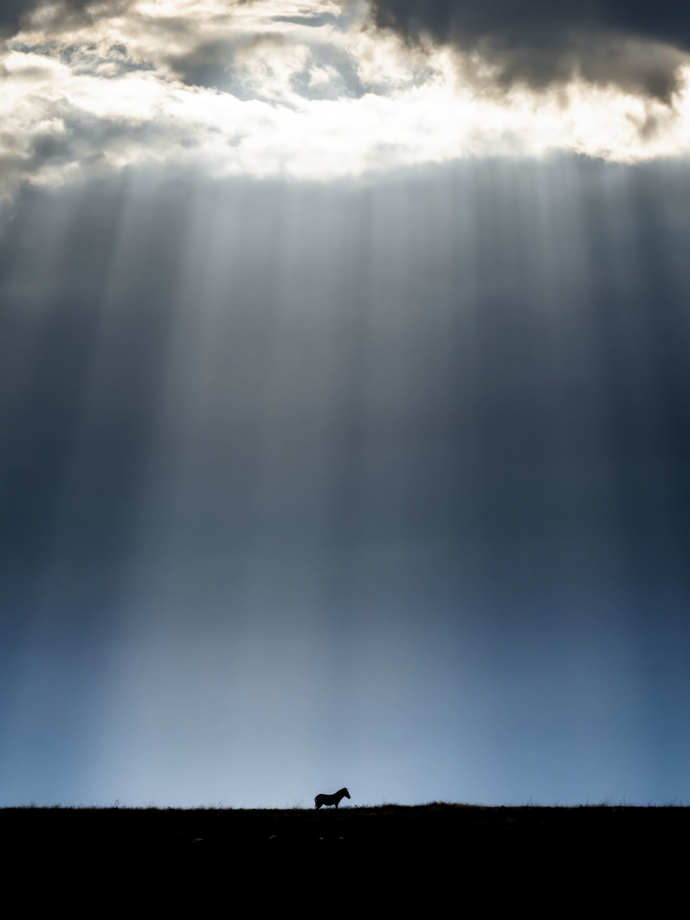Dhir Jakharia, Photography; The Chosen One