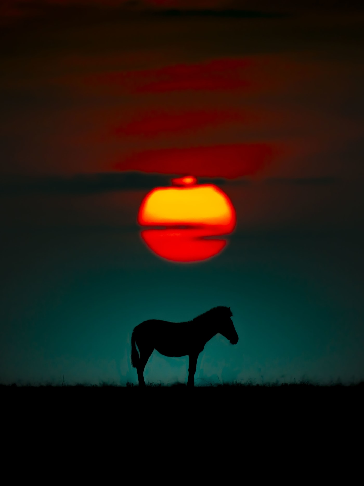 Dhir Jakharia, Photography; Contrast