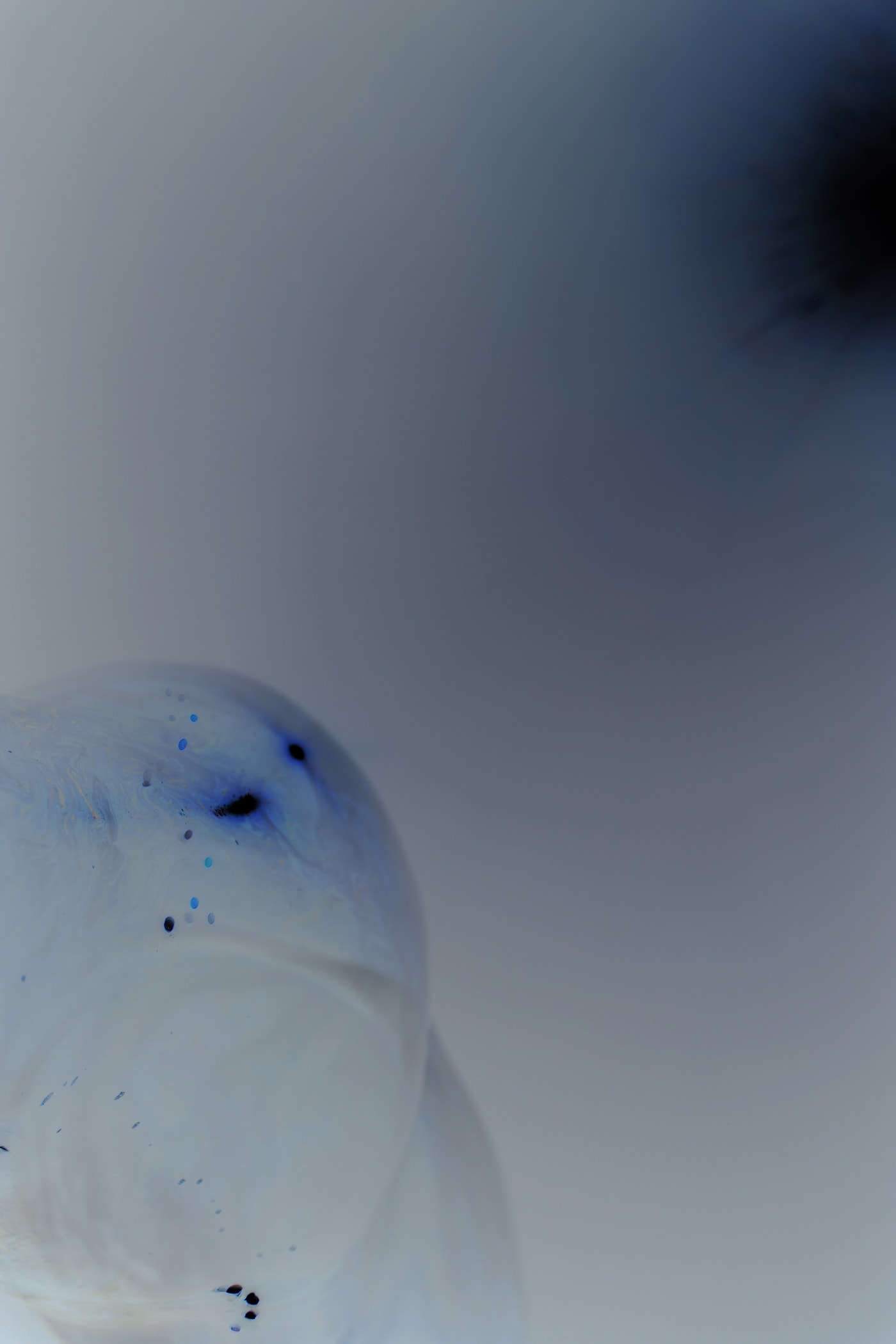 陈萧伊 Chen Xiaoyi, Foam, Form - Phase II: do+, 2019