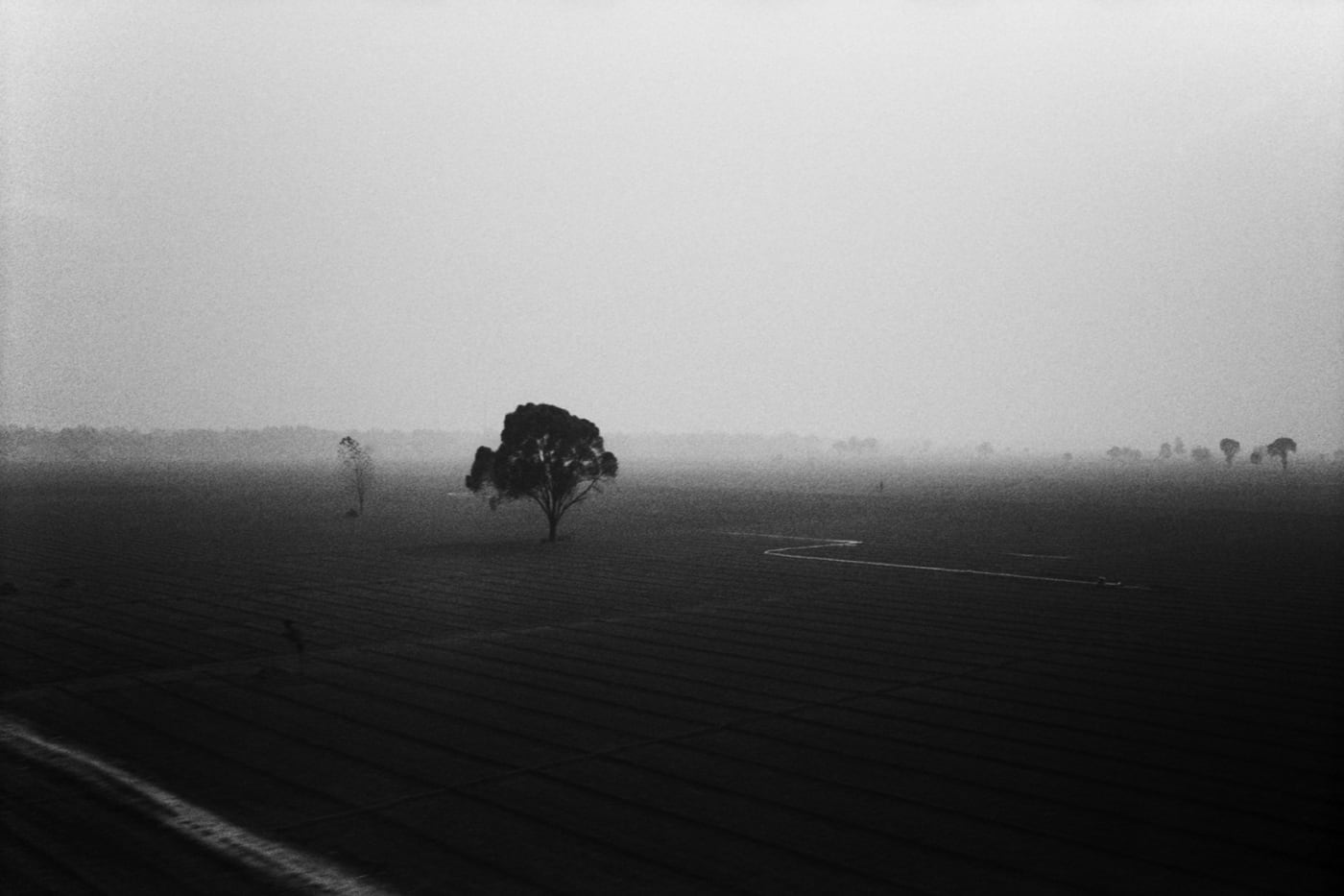 黎朗 Li Lang, 某年某月某日-A0401 | A Long Day of A Certain Year-A0401, 2019