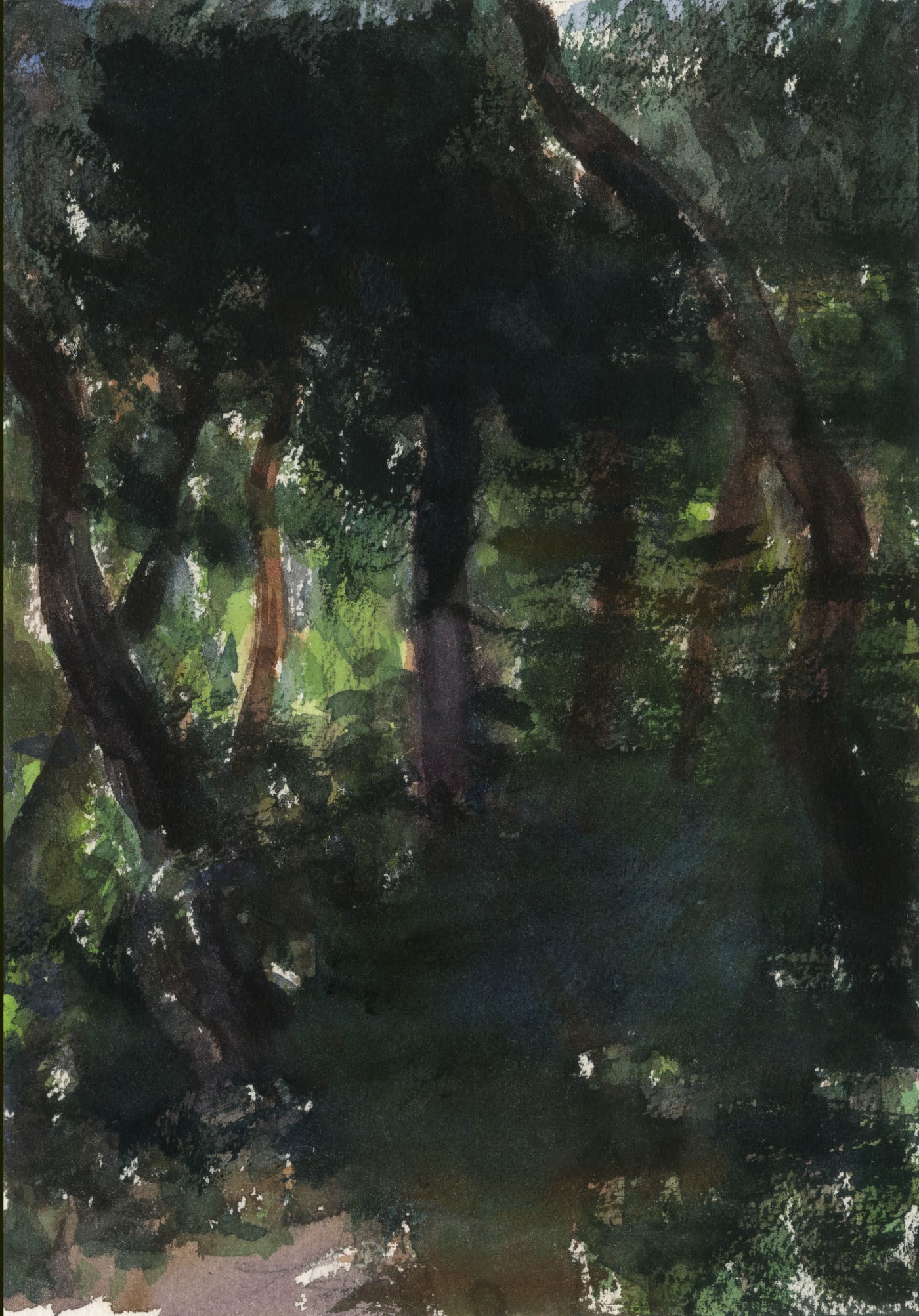 王俊 Wang Jun, 林中写生系列 No.7 | Watercolor Sketching in the Forest No.7, 2019.05.17
