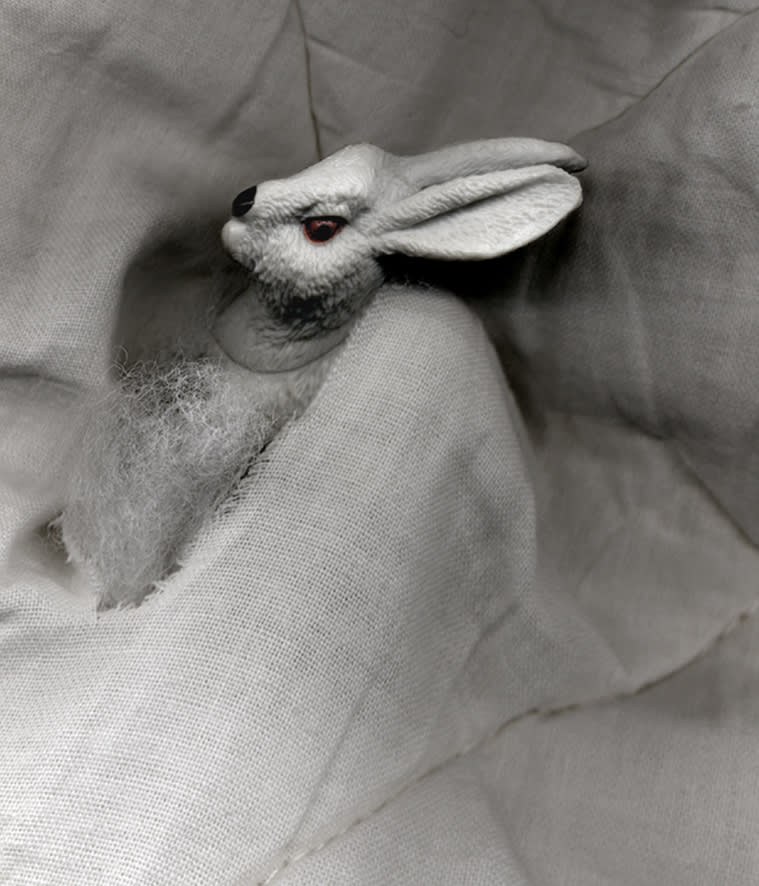 Pat Brassington, The Permissions #4, 2013