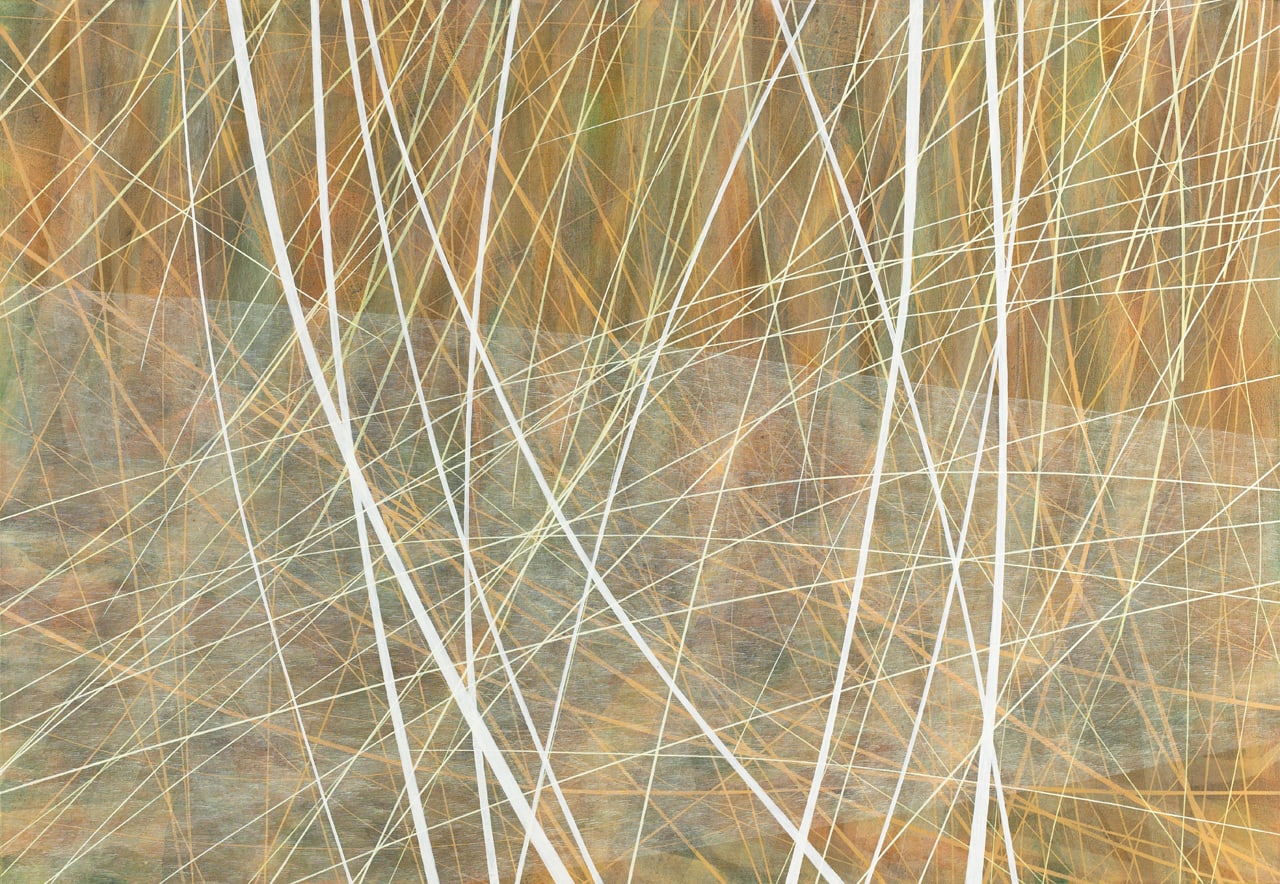 Sue Lovegrove, No.509, 2012
