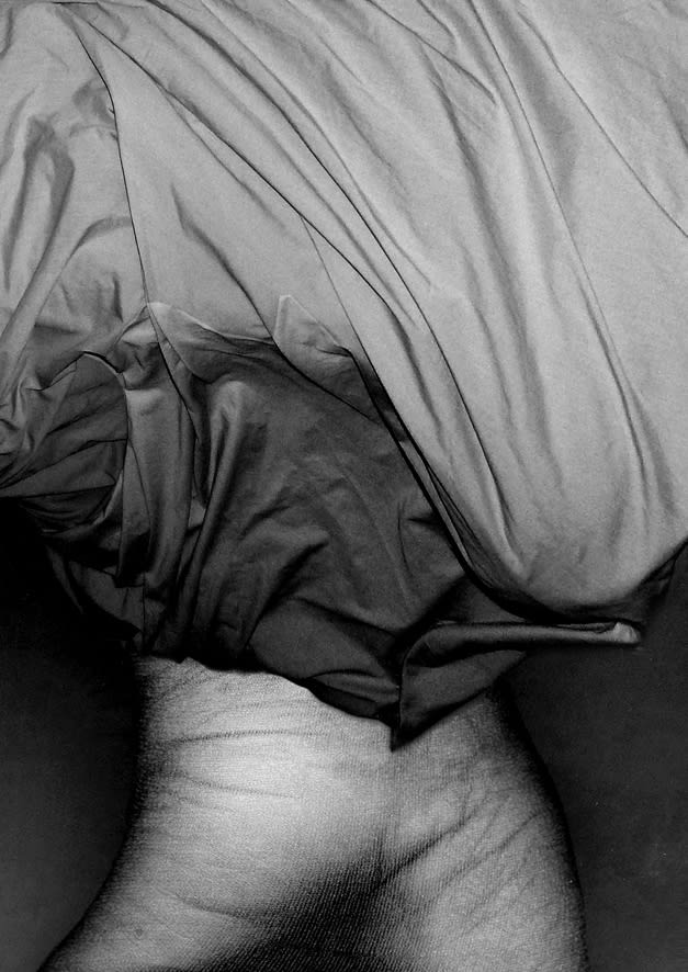 Pat Brassington, The Permissions #1, 2013