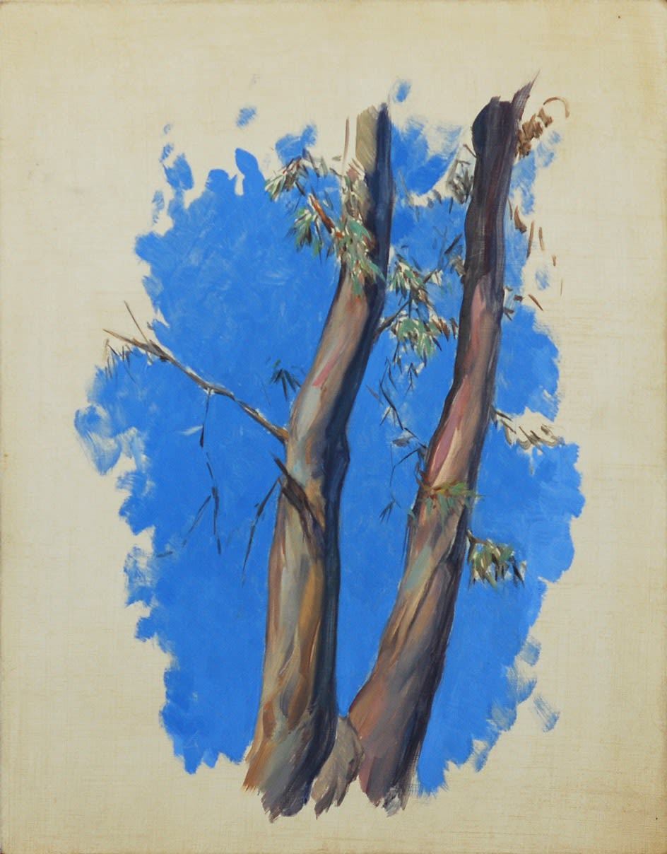 Jeffrey Gallinson, Eucalyptus